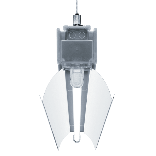 TECTON ottiche brillantate